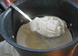 Curds of quark formed as the milk rested overnight.