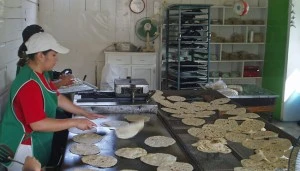 Workers at the Santa Rosalia tortillaria press, cook, and cool the delicious flat breads!