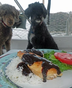 Every cook likes an appreciative audience!