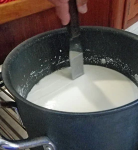 The curd is sliced into cubes with a long knife or spatula.