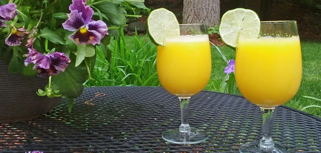 Home Made Seltzer and Orange