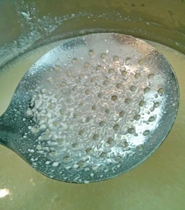 The curd from the dried milk is too tiny to be lifted from the whey and must be strained.